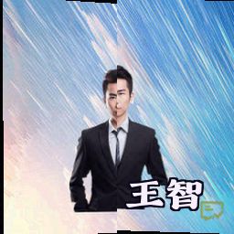 王智